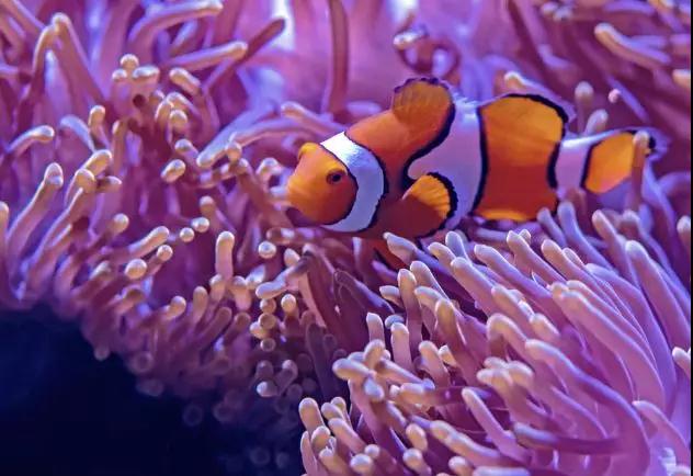 1559719633170336.jpg 1559719633170336.jpg