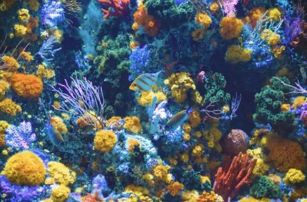 1559719756476295.jpg 1559719756476295.jpg