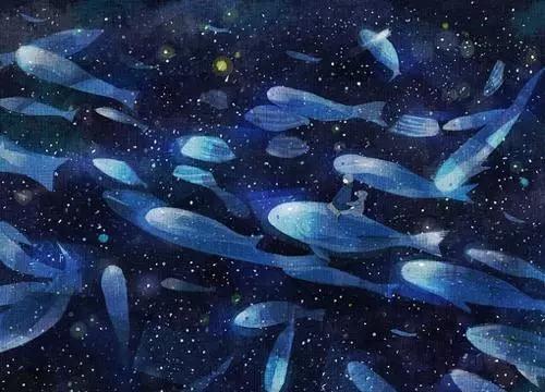 1559719928769637.jpg 1559719928769637.jpg