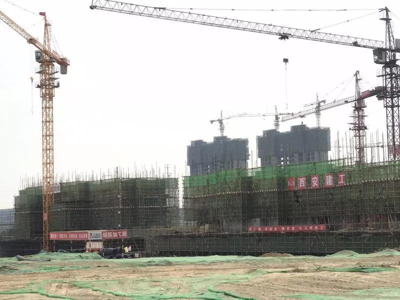 1559806671450228.jpg 1559806671450228.jpg