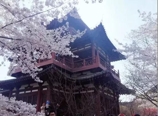 1560130459558941.jpg 微信圖片_20190610093203.jpg