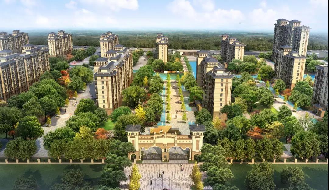 1575338251792747.jpg 1575338251792747.jpg