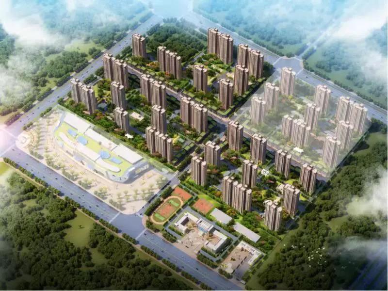 1575342425307296.jpg WeChat 圖片_20191203110102.jpg