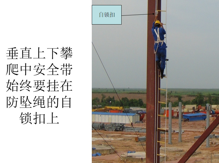 1584497808761653.jpg WeChat 圖片_20200318100109.jpg