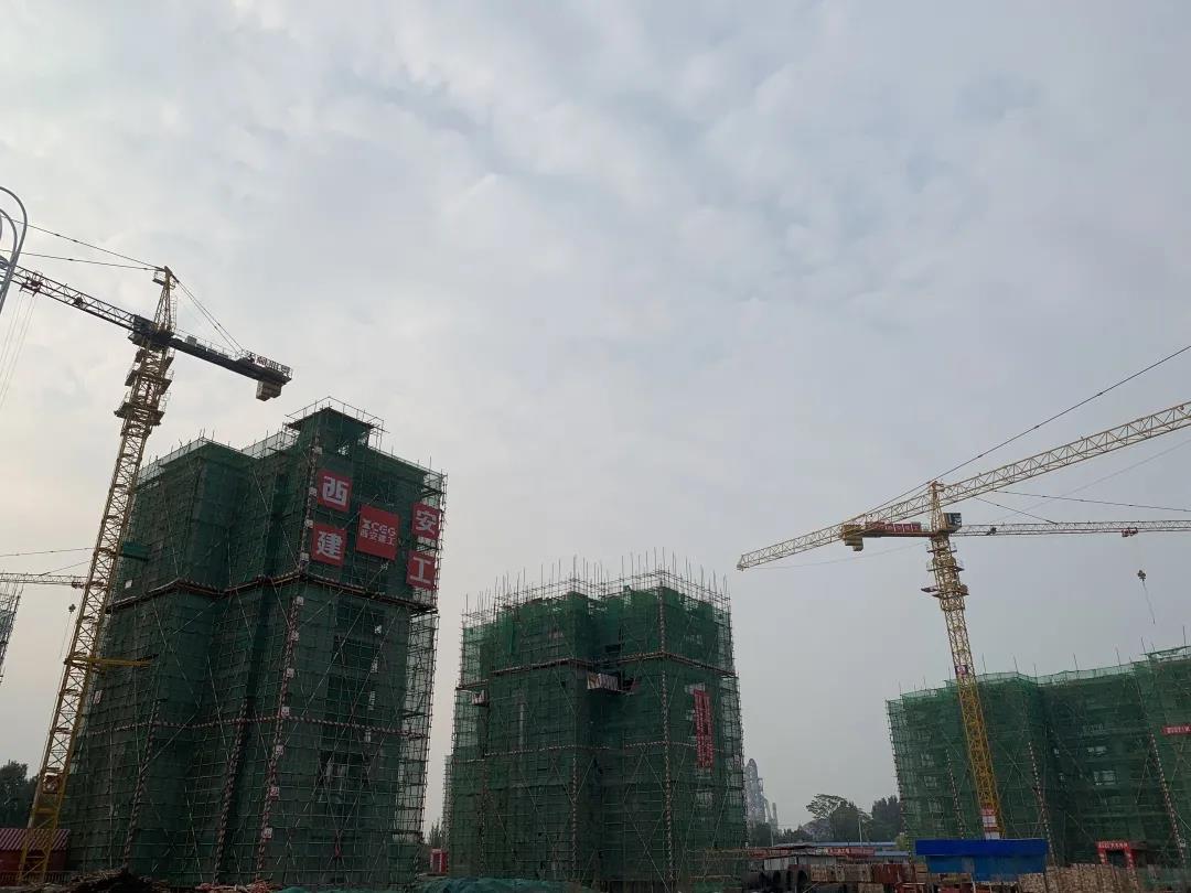 1601349005995325.jpg 1601349005995325.jpg