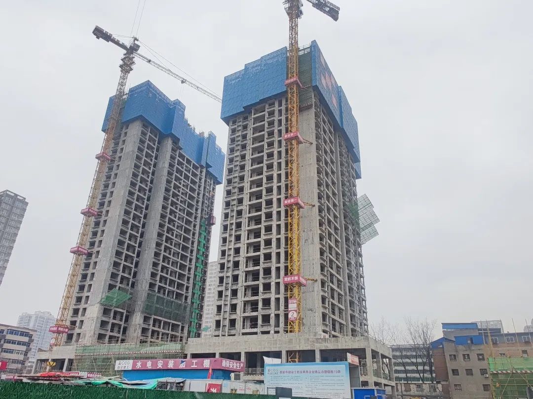 1677639180526454.jpg 1677639180526454.jpg