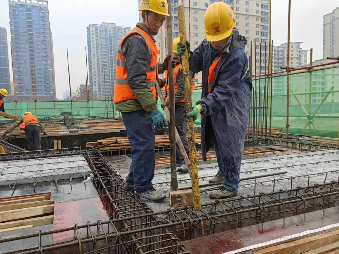 1677639355660775.jpg 1677639355660775.jpg