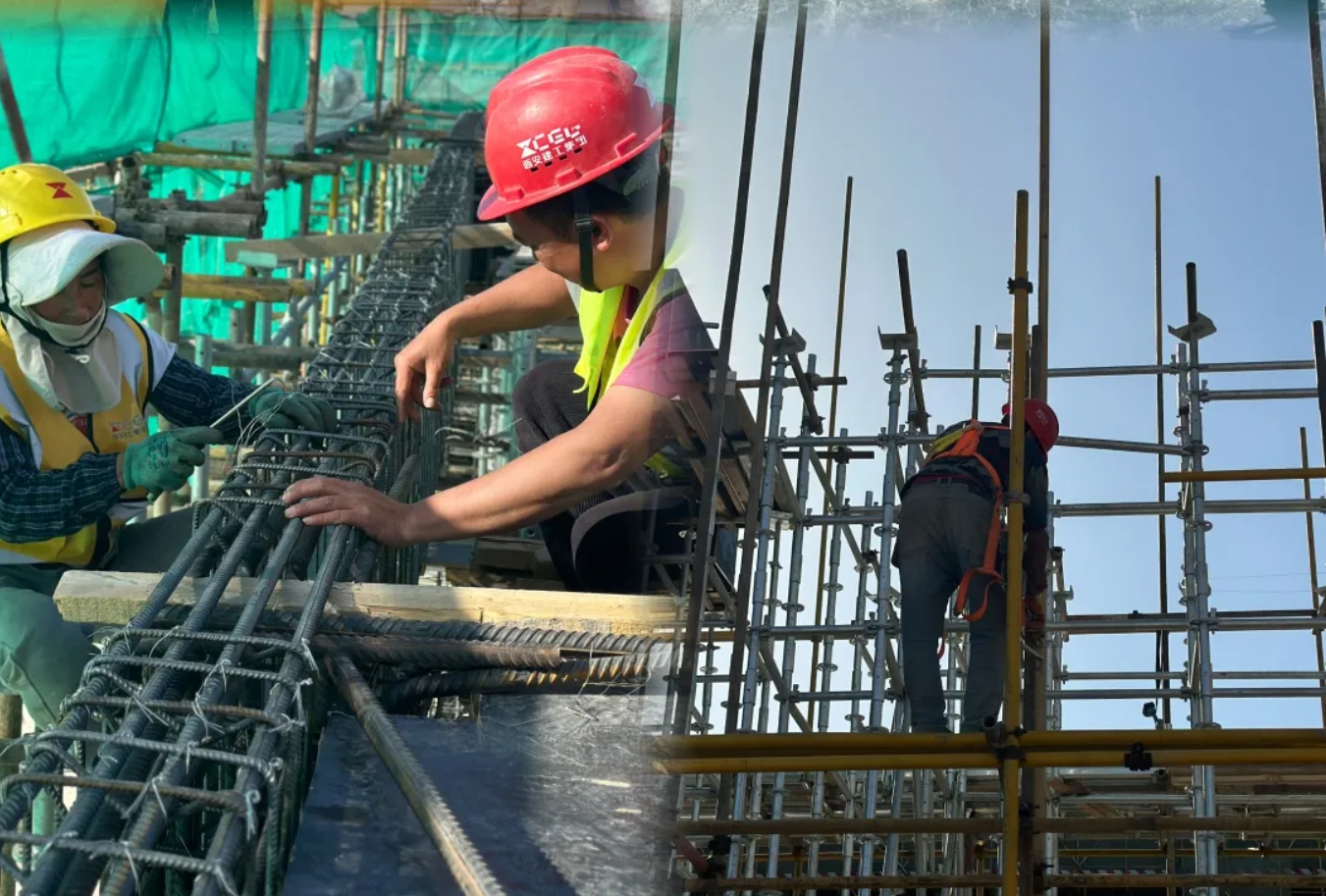 1714807240978223.png 1714807240978223.png