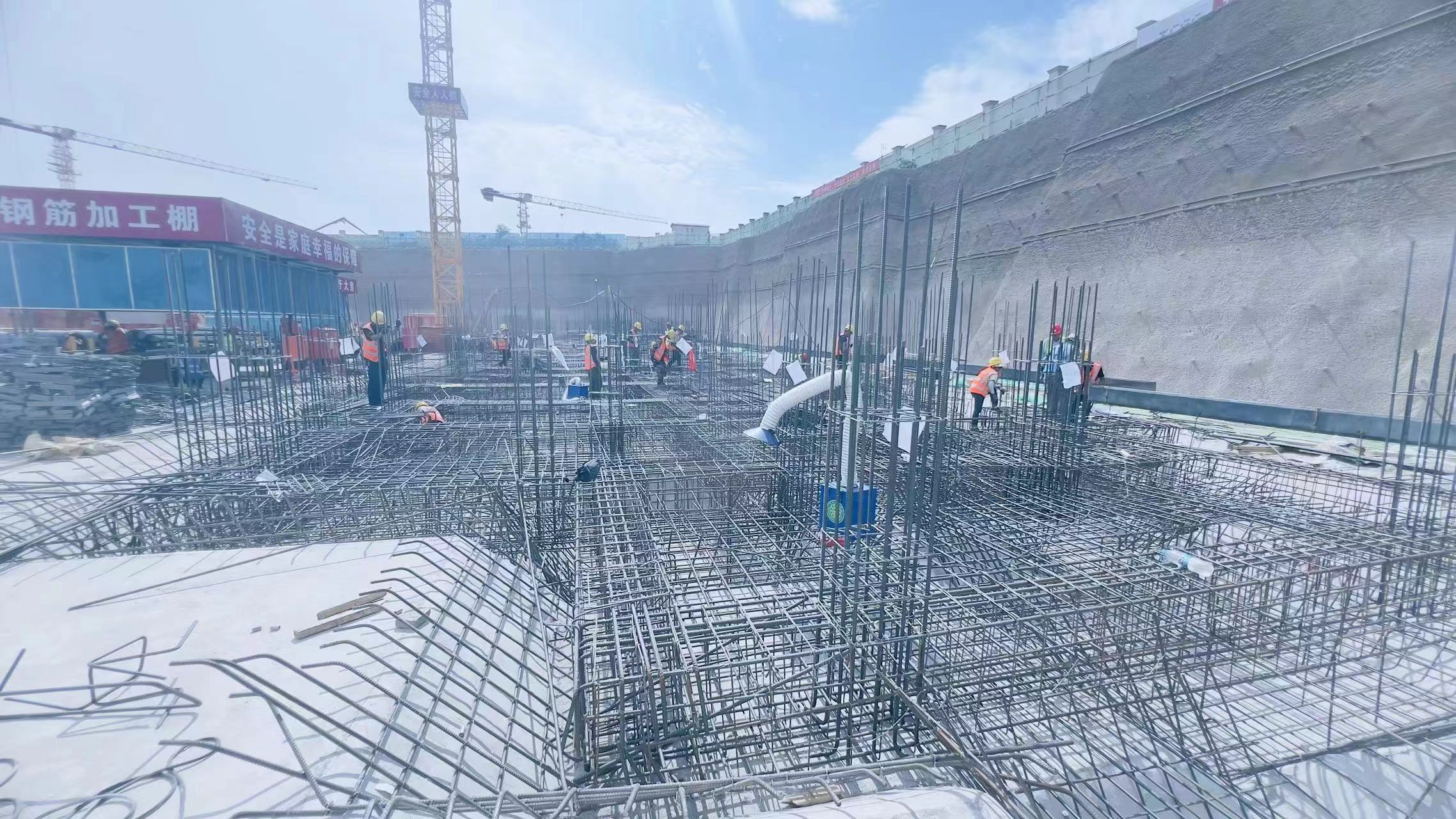 1718330339816444.jpg 1718330339816444.jpg