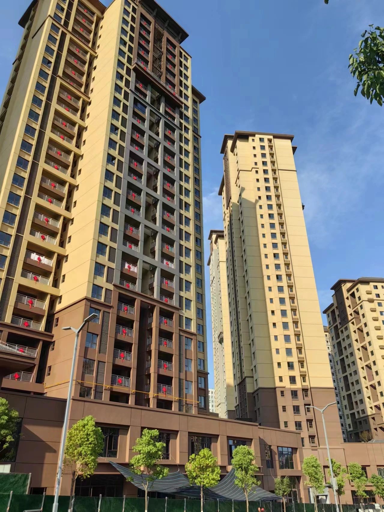 1721183241447738.jpg 1721183241447738.jpg