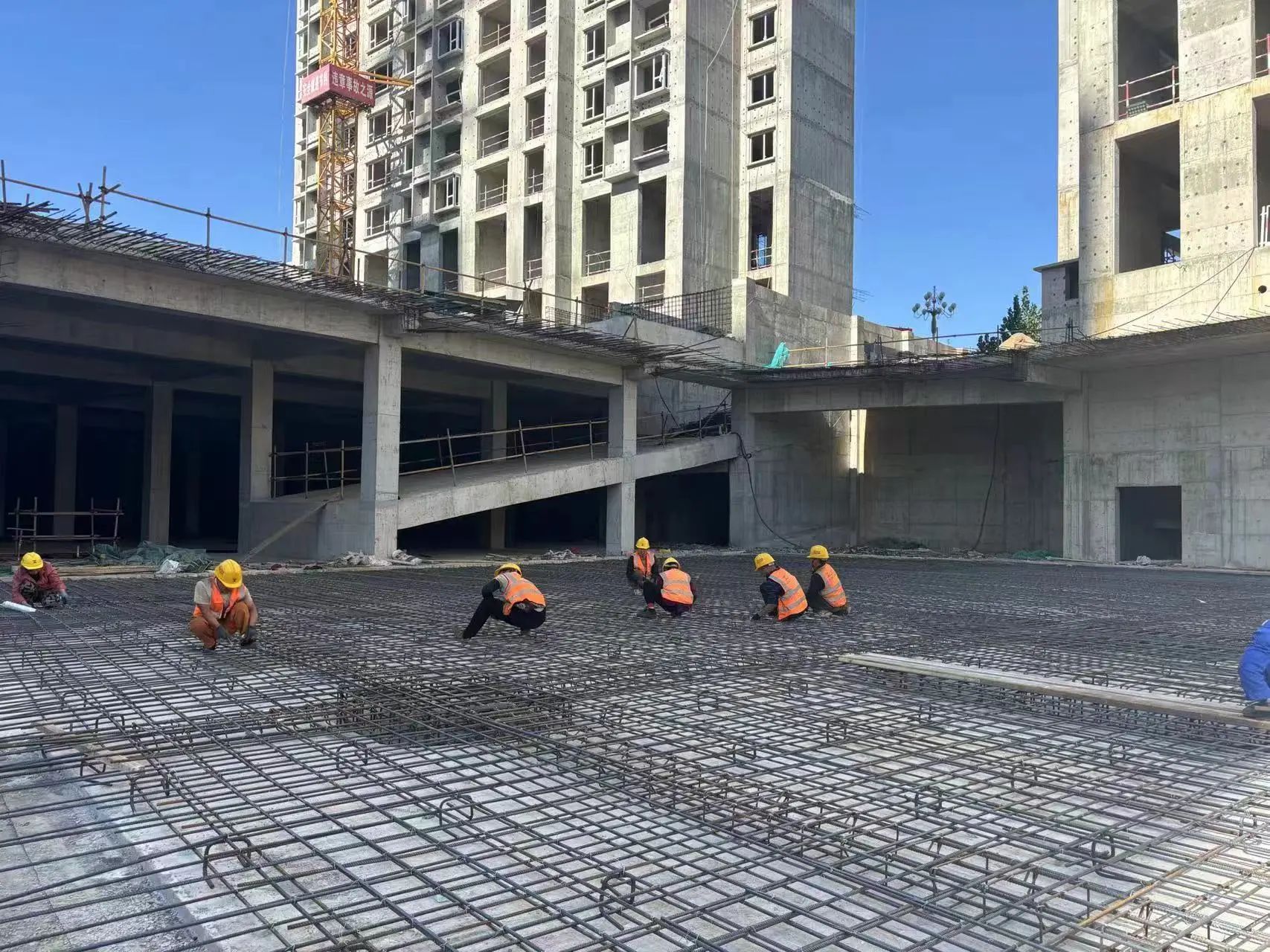 1728725949209556.jpg 1728725949209556.jpg