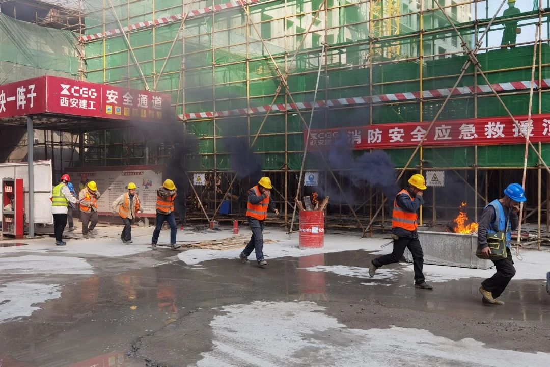 1734954099281998.jpg 1734954099281998.jpg